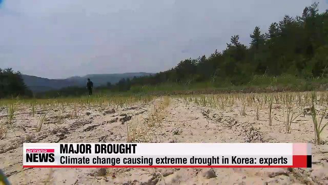 Korea suffering from worst drought in decades