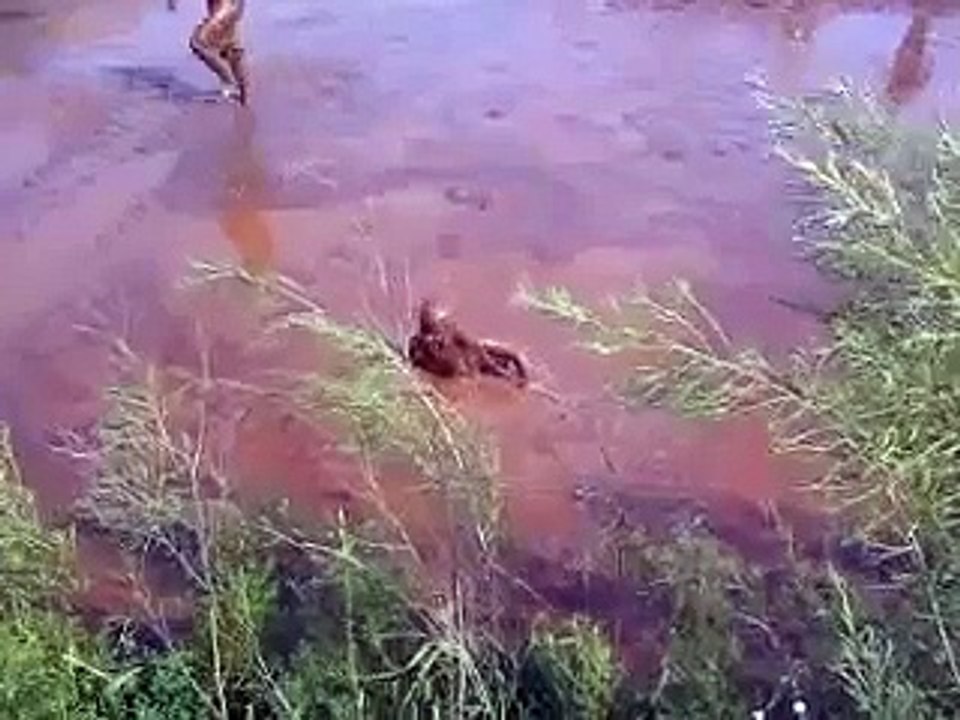 The Mud Pit!