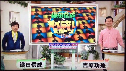 150616 ワンダー 織田くん解説 ※画面撮り