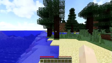 MINECRAFT EN 45 SECONDES - FRANCAIS
