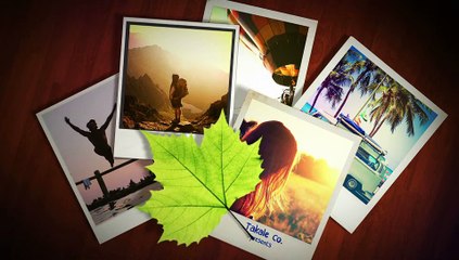 After Effects Project Files - Autumn Leaves Photo and Logo Reveal - VideoHive 9043284