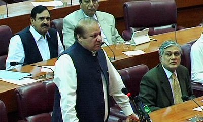 PM Nawaz clarifies statement about 'fly'