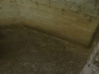 Saute-mouton