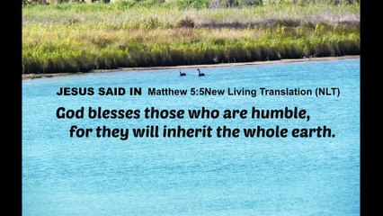 Inherit the whole earth