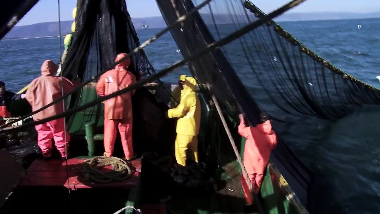 Ten Ten Vilu (documental extracto) | Dia de pesca, coliumo chile