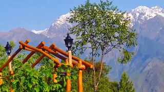 Hotels and Resorts in Auli- India | Himalayan Eco Lodge