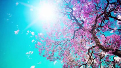 Literally My Life ~ MyLifeAsEva | Music Video w/ CrazyAbbs xx