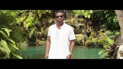 Ray J - Brown Sugar Official Video ft. Lil Wayne