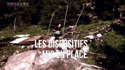 ECOSFIX - étude des dynamiques racinaires