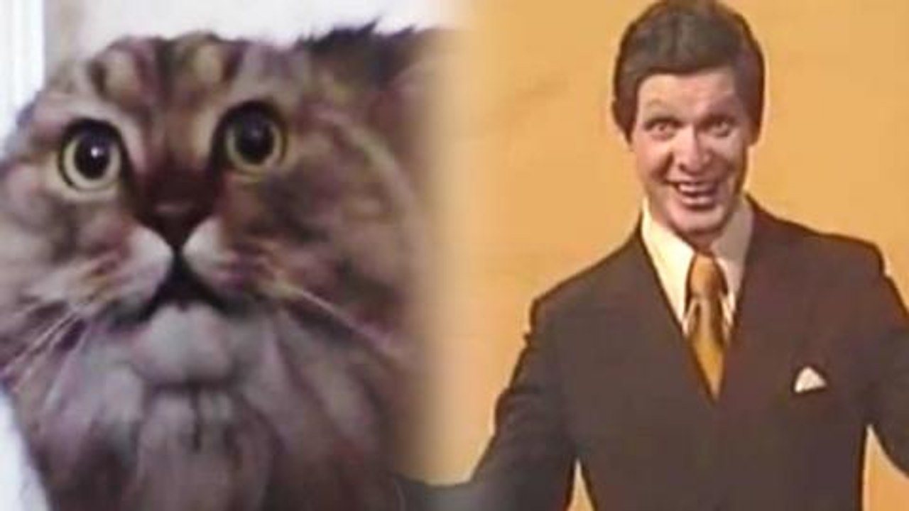 Another Top 10 Viral Videos