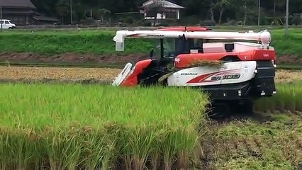 Mesin Panen Padi Kubota Jepang