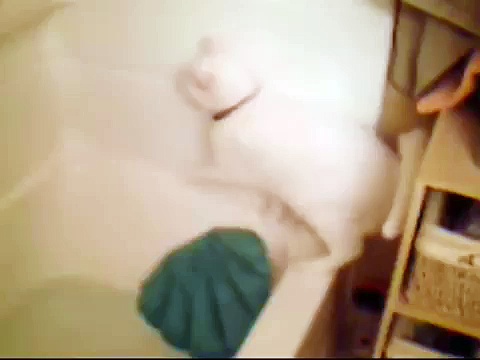 Cat challenges tub of water!