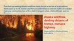 Alaska wildfires destroy dozens of homes_ menace highway