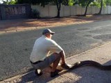 Python swallows dog - Huge Python eats dog - South Africa