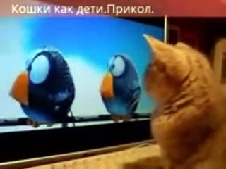 Новые лучшие приколы самые смешное видео  ПРИКОЛЫ и неудачи 2015 май FAIL Compilation Humor Jokes 2