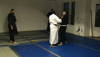 Sanuces Ryu at Warrior Within Dojo 3
