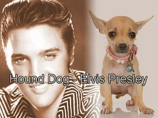 Hound Dog - Easy Piano & Keyboard Tutorial