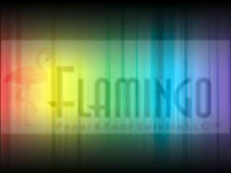 Flamingo Paper and Food Services LLC