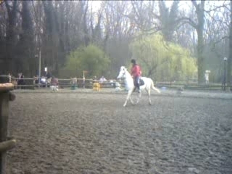 hilender
