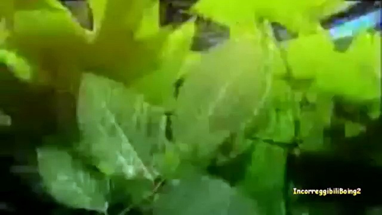 Incorreggibili - Ninguna de las dos (Video ufficiale)