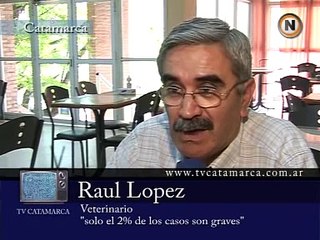 Alacranes invaden Catamarca