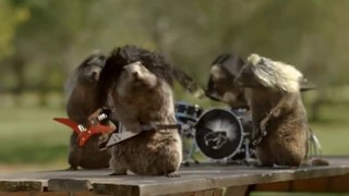 France3 - Marmottes