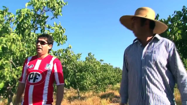Caimanes, Los sin agua / Les damnés de l'eau