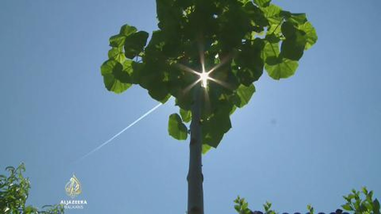 Povratak na selo