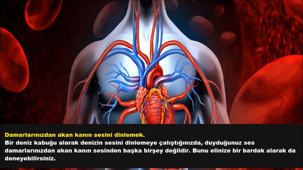 Bilmediğiniz Şaşırtıcı 10 Bilimsel Gerçek - Bilgin Mert