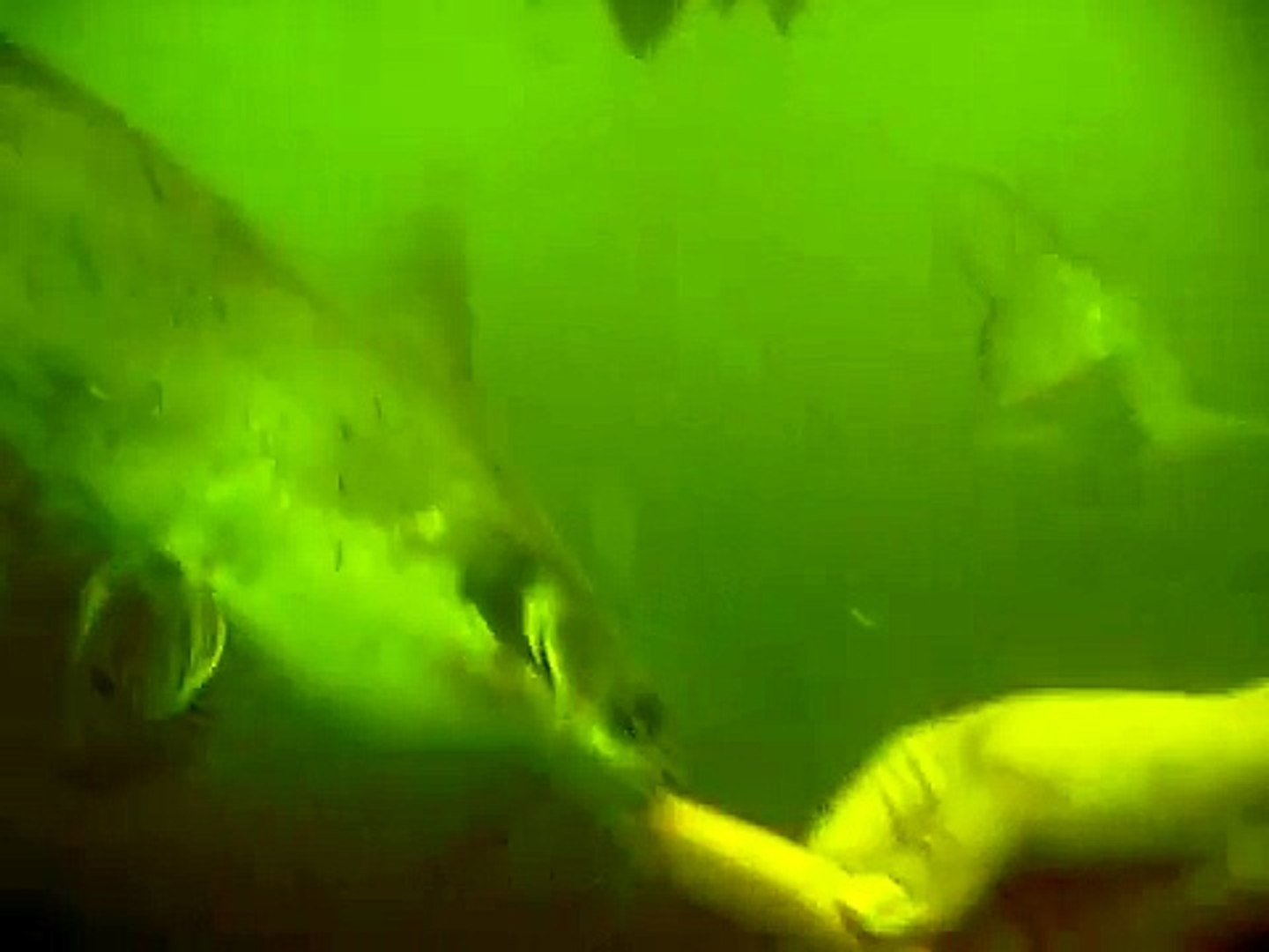 Medina Lake Scuba Diving Video Dailymotion