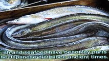 日本文化紹介　魚の国　Japanese culture introduction　Japan, abundant fish