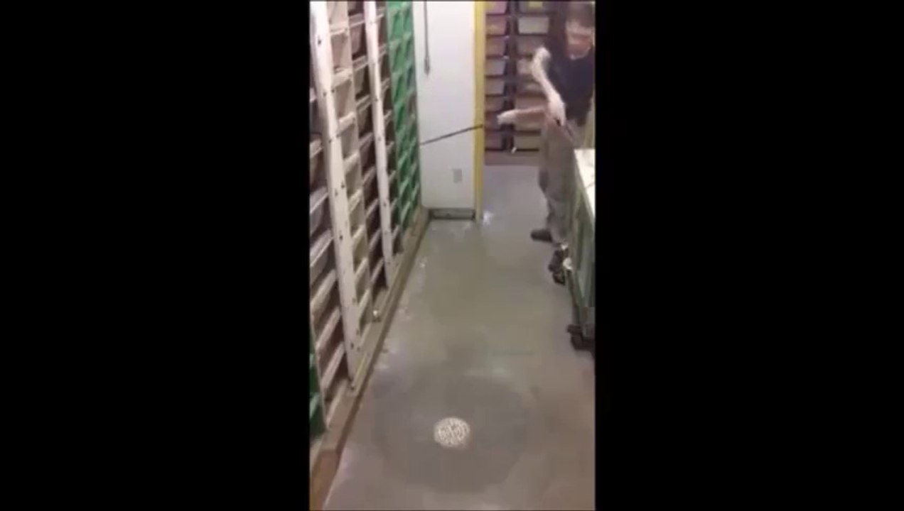 Ya böyle bir isiniz olsaydı