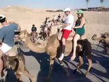 Volta de Camelo pelo deserto do Négev em Israel 2 - Taglit Summer 2009