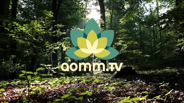 Pilates - Abdominales, la mansión del poder