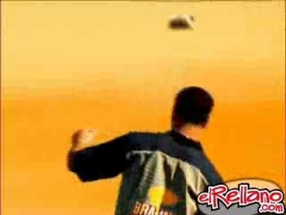 Pub biere Brahma Tortue 2