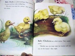 Baby Farm Animals preschool children's story book read aloud, written by Garth Williams