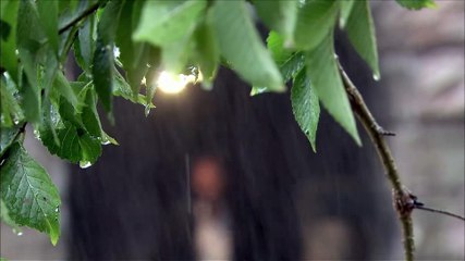 劫中劫27【超清720p】