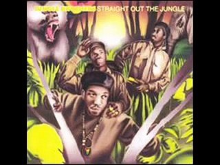Jungle Brothers-What's Going On