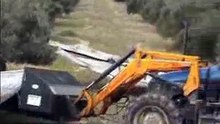Recolección aceituna de molino con los Mántor de Tecniagri