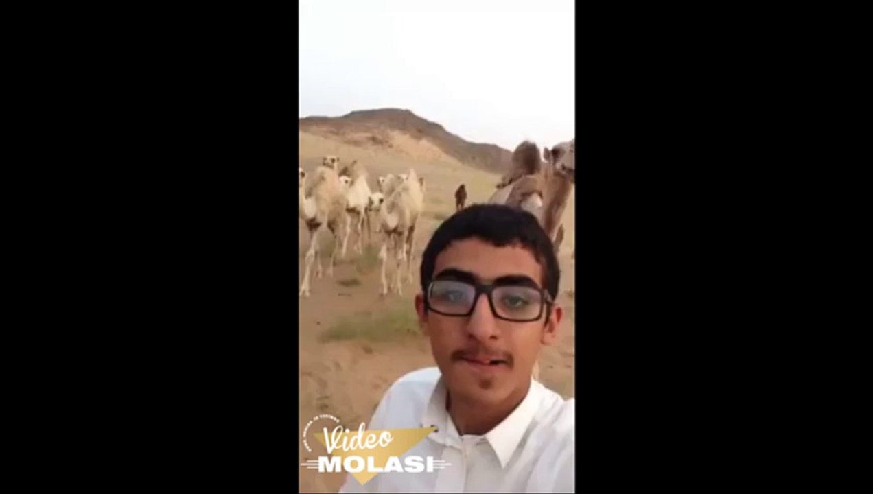 SELFİE SEVMEYEN DEVE
