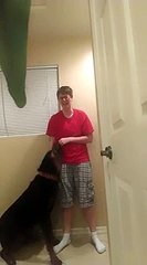 Un chien réconforte une fille souffrant du syndrome d'Asperger en pleine crise d'angoisse