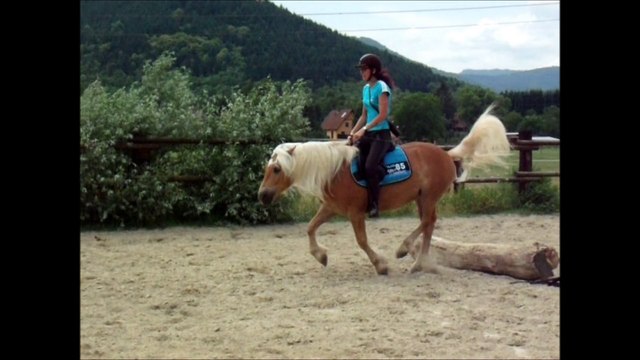 Tout est possible, tout est réalisable. Nouveautés montés