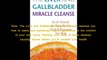 The Liver And Gallbladder Miracle Cleanse Ebook Reviews - Does The Liver And Gallbladder Miracle Cleanse Ebook Work