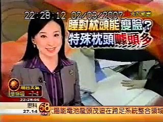 Workaholic Comfort Pillow