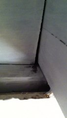 dégats des eaux 1