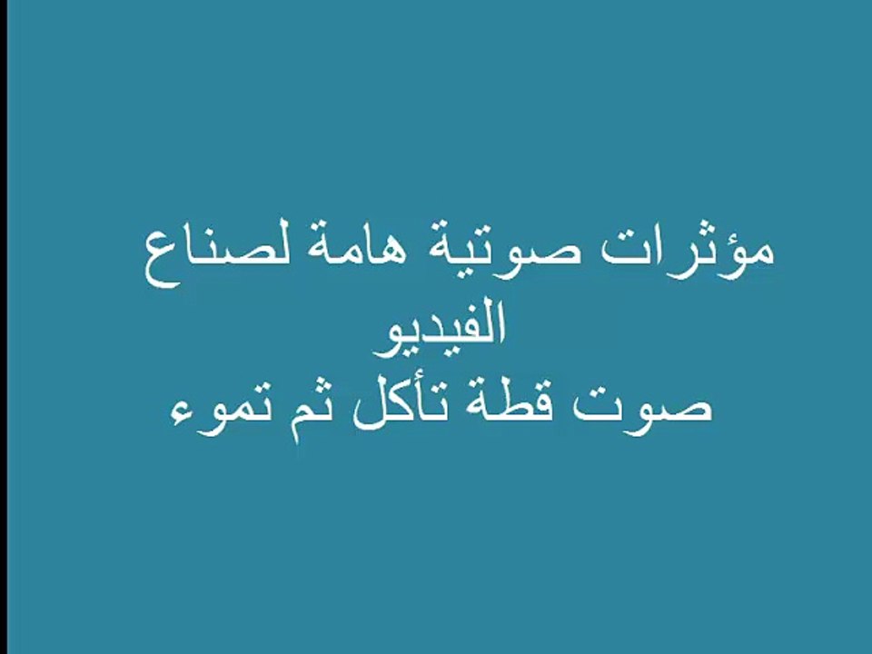 قطة تاكل وتموء