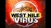Dallas Mayor declares State Emergency over West Nile Virus Outbreak (Aug 17, 2012)