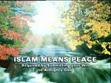 Media And Islam: War Or Peace? - Dr. Zakir Naik (2/22)