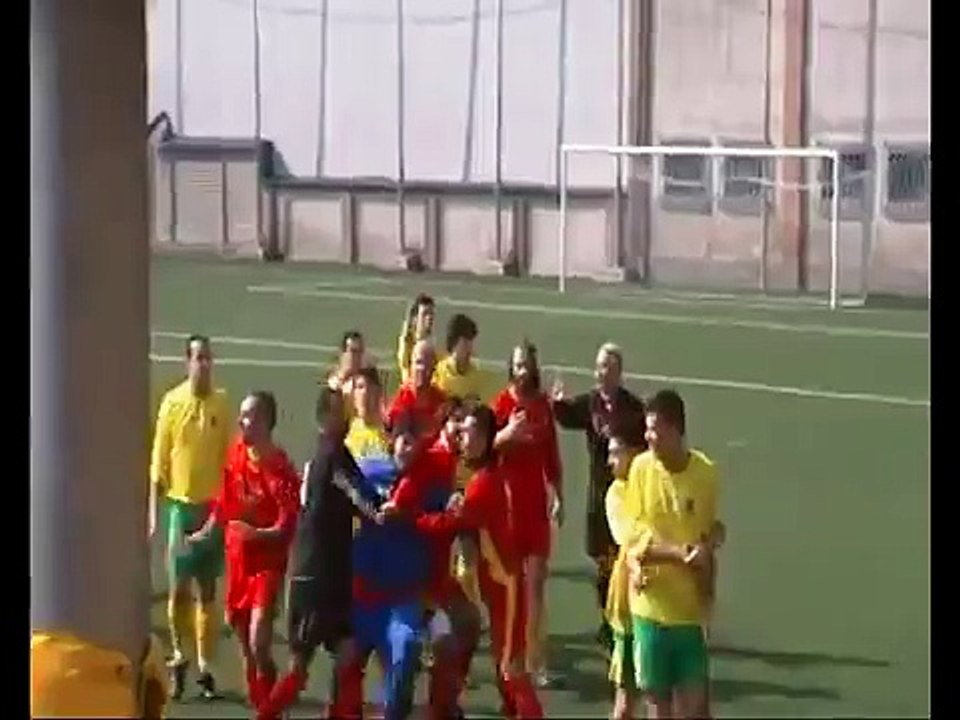 Rissa in campo...