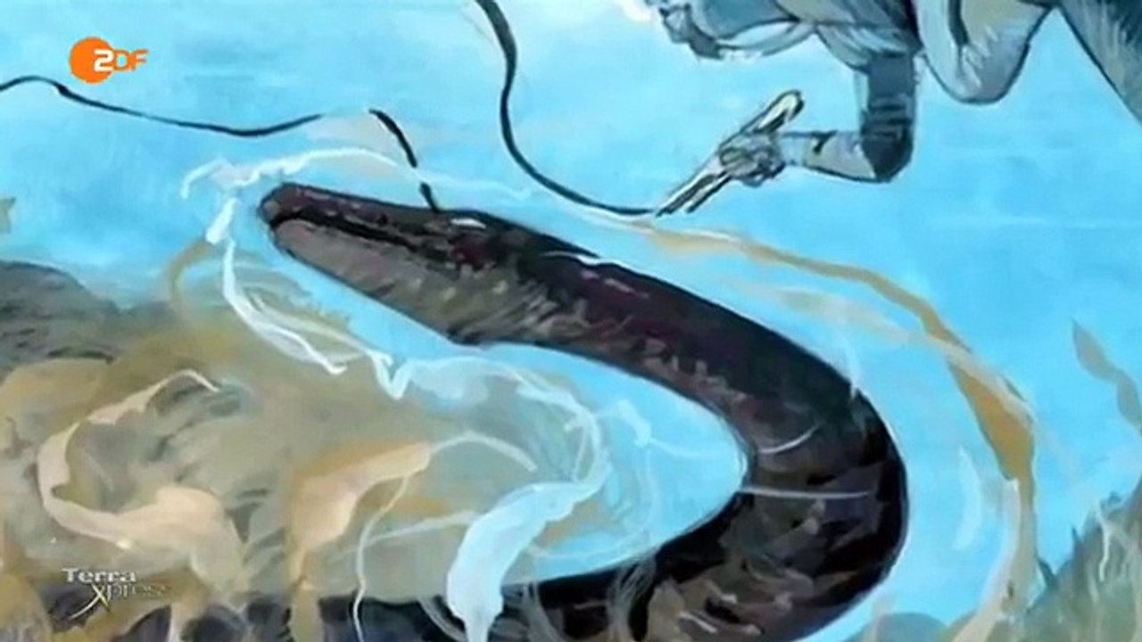 Monster im Gardasee! Terra Xpress ZDF